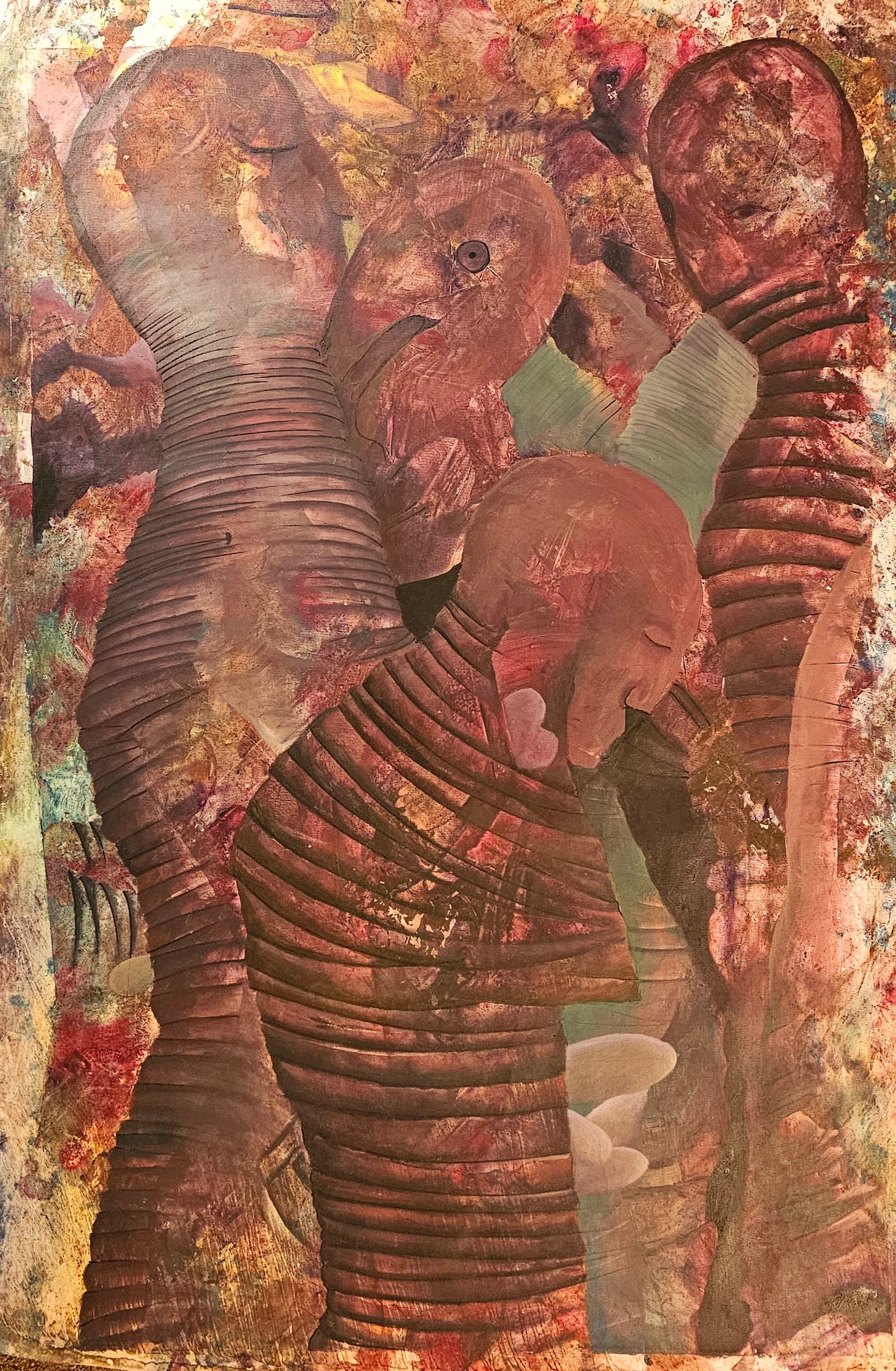 From the collection of worms