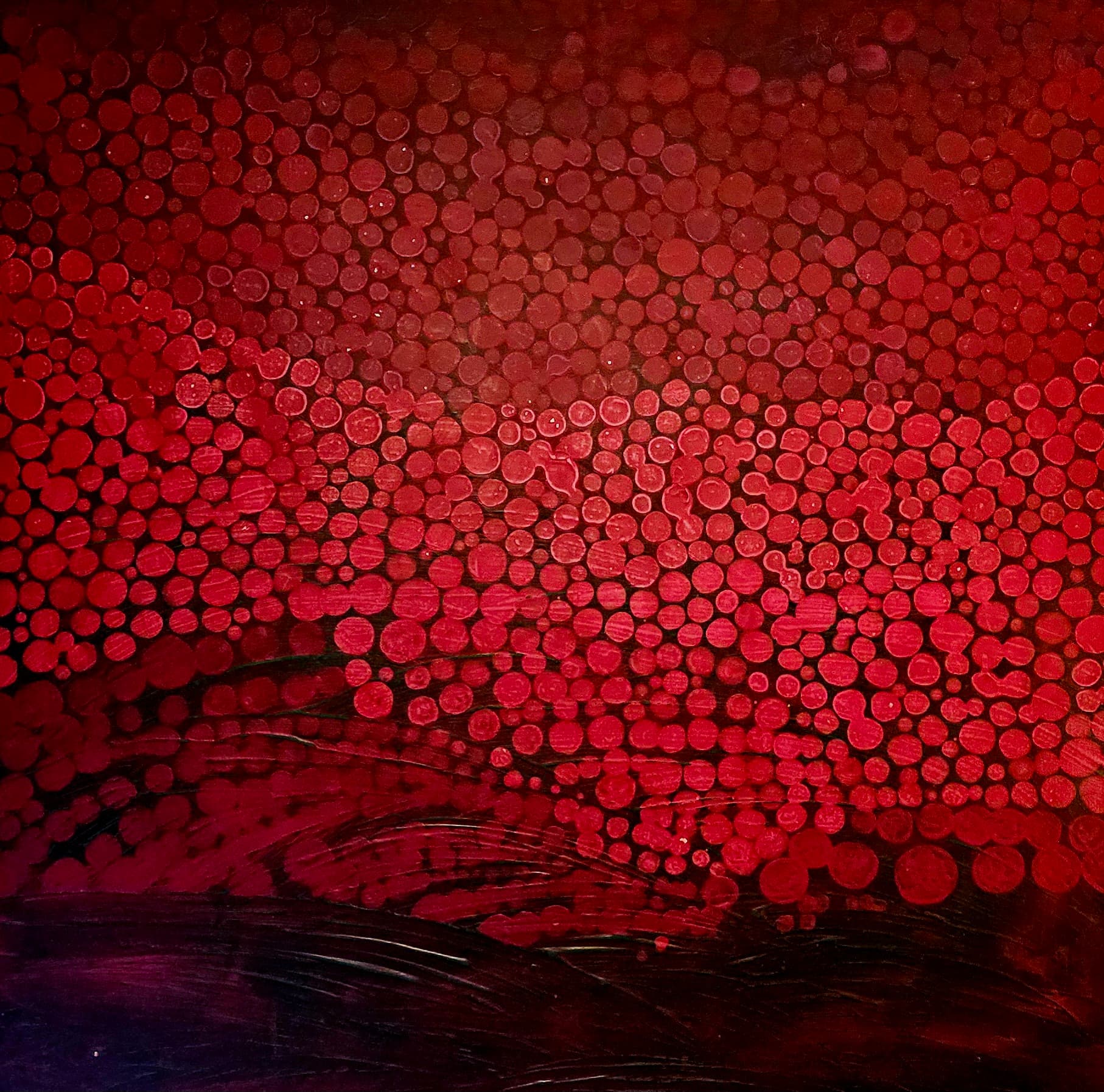 Clover